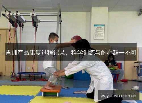 青训产品康复过程记录，科学训练与耐心缺一不可