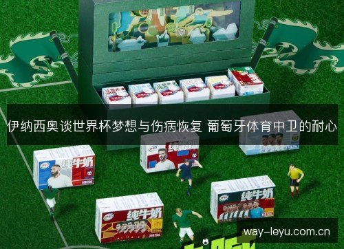 伊纳西奥谈世界杯梦想与伤病恢复 葡萄牙体育中卫的耐心 伊纳西奥谈世界杯梦想与伤病恢复 葡萄牙体育中卫的耐心